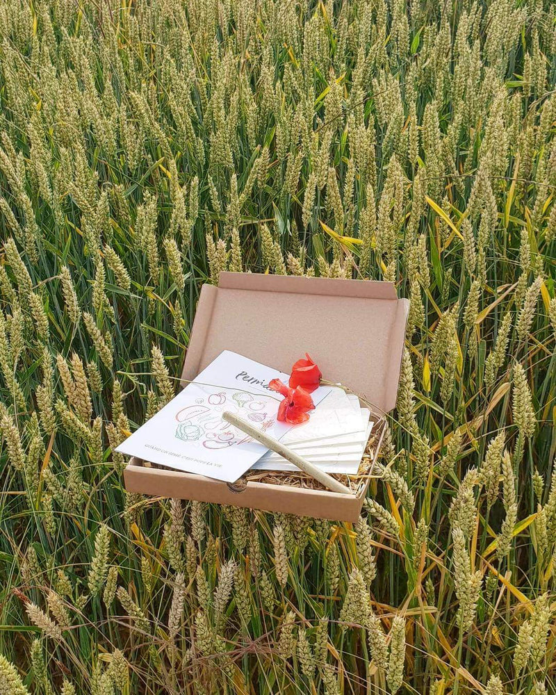 Box Mensuelle Permaculture